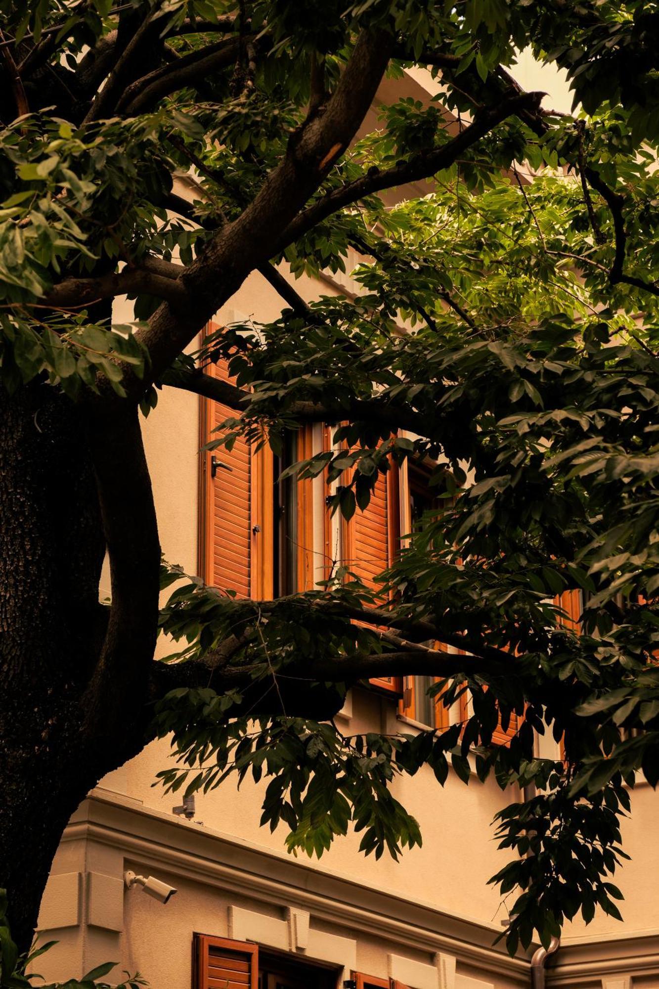 Faces & Places Boutique Hotel